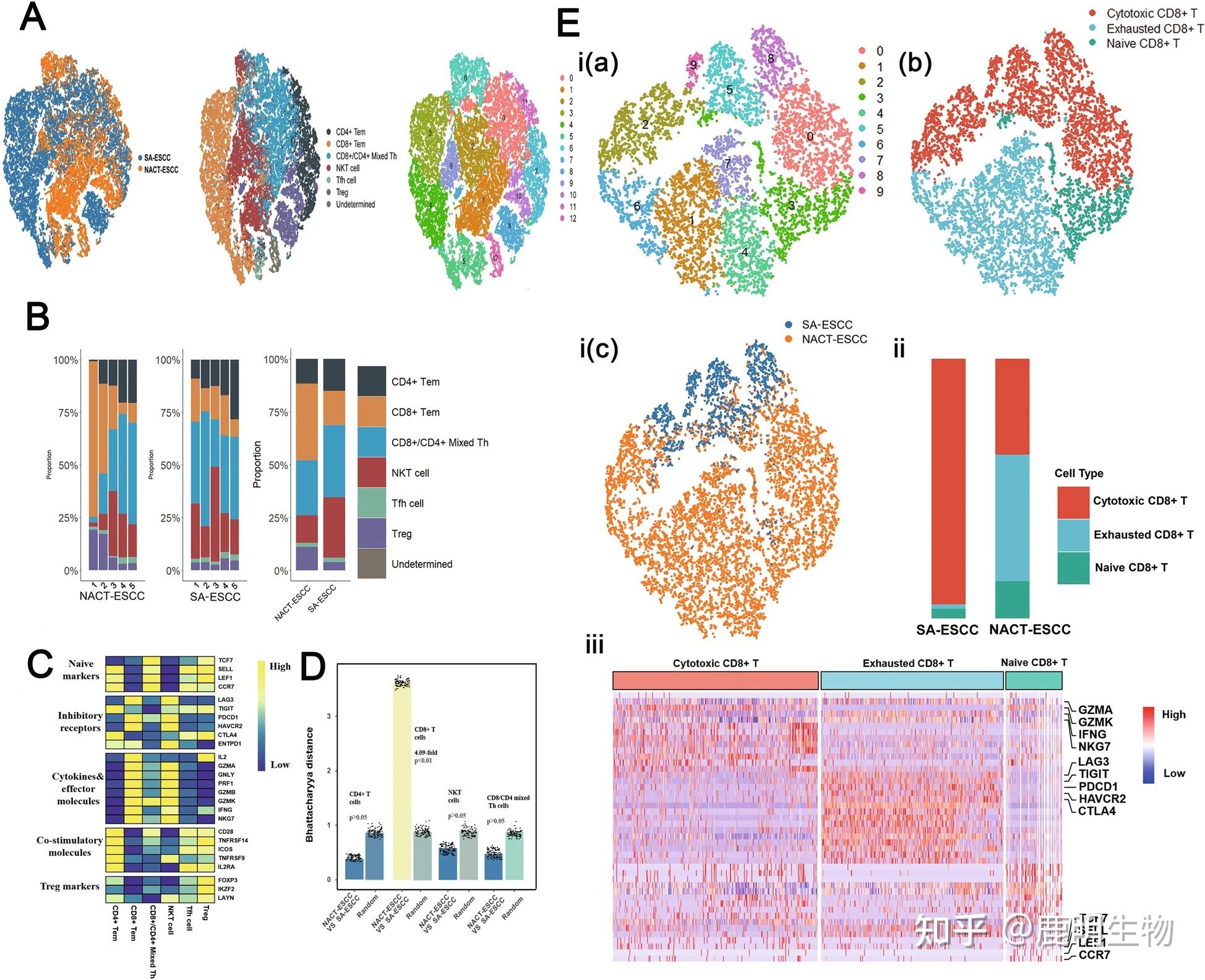 欧易单细胞测序助力解析食管鳞状细胞癌新辅助化疗手段