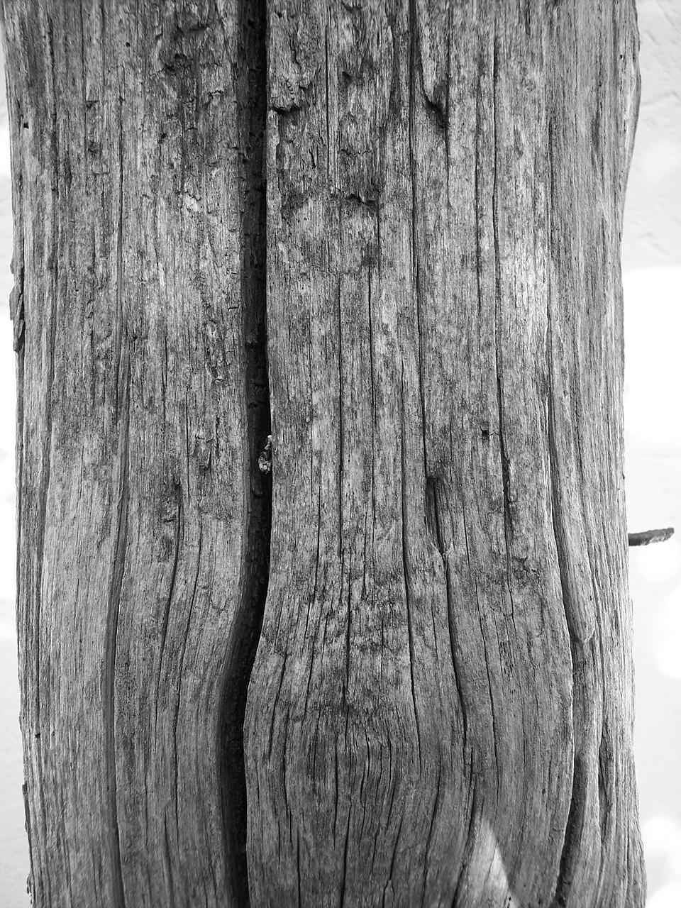 5. 木皮家居装饰