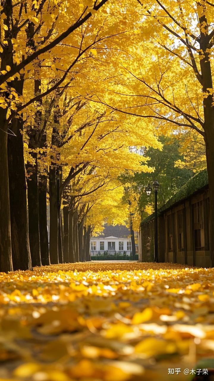 一眼惊艳的绝美风景手机壁纸?