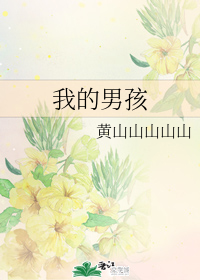图标