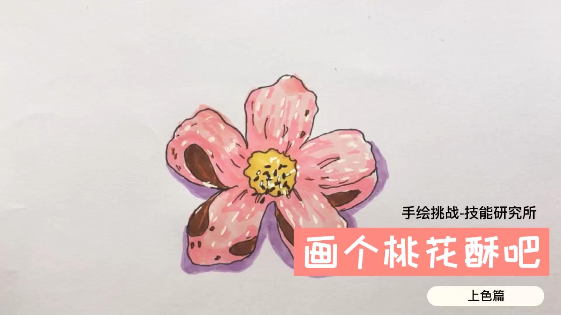 手绘挑战技能研究所画个荷花酥吧上色篇