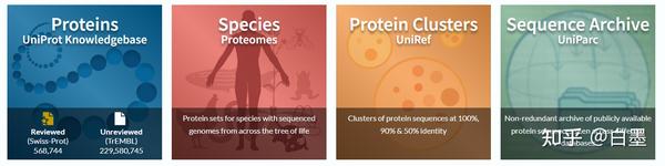 一文读懂 UniProt 数据库（2023最新版） - 知乎