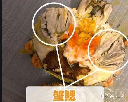 螃蟹怎么吃