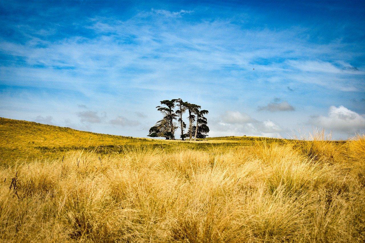 2. 自然风光一线景