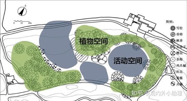 平面图雪松大草坪面积15000㎡左右,面向西湖,背靠广玉兰,山茶林带