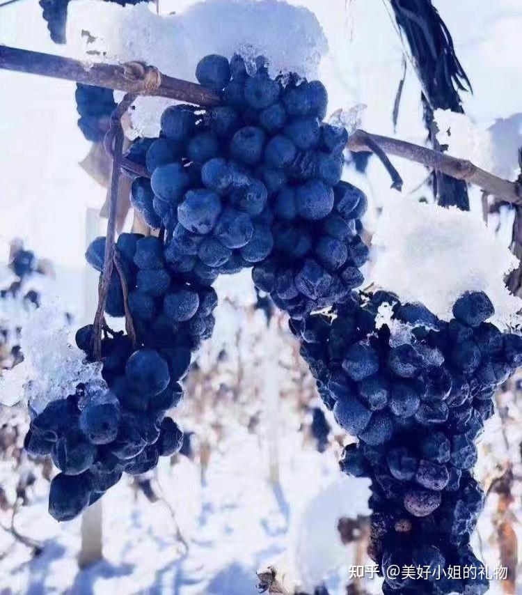 但是看看配料表,干干净净的只有长白山北冰红山葡萄一个