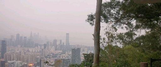 风雨寄归 - 知乎