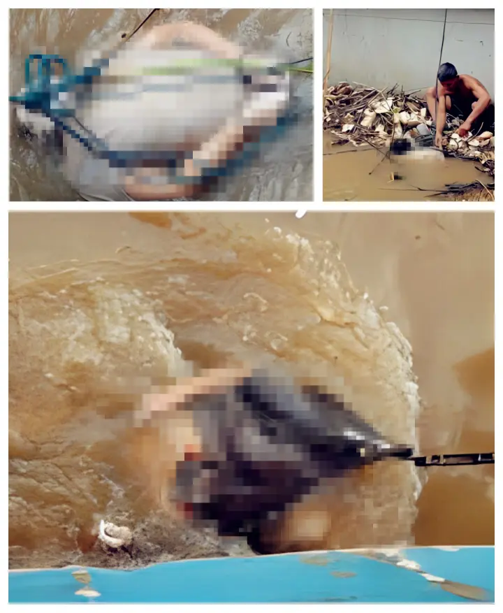 浑浊河水里发现浮尸