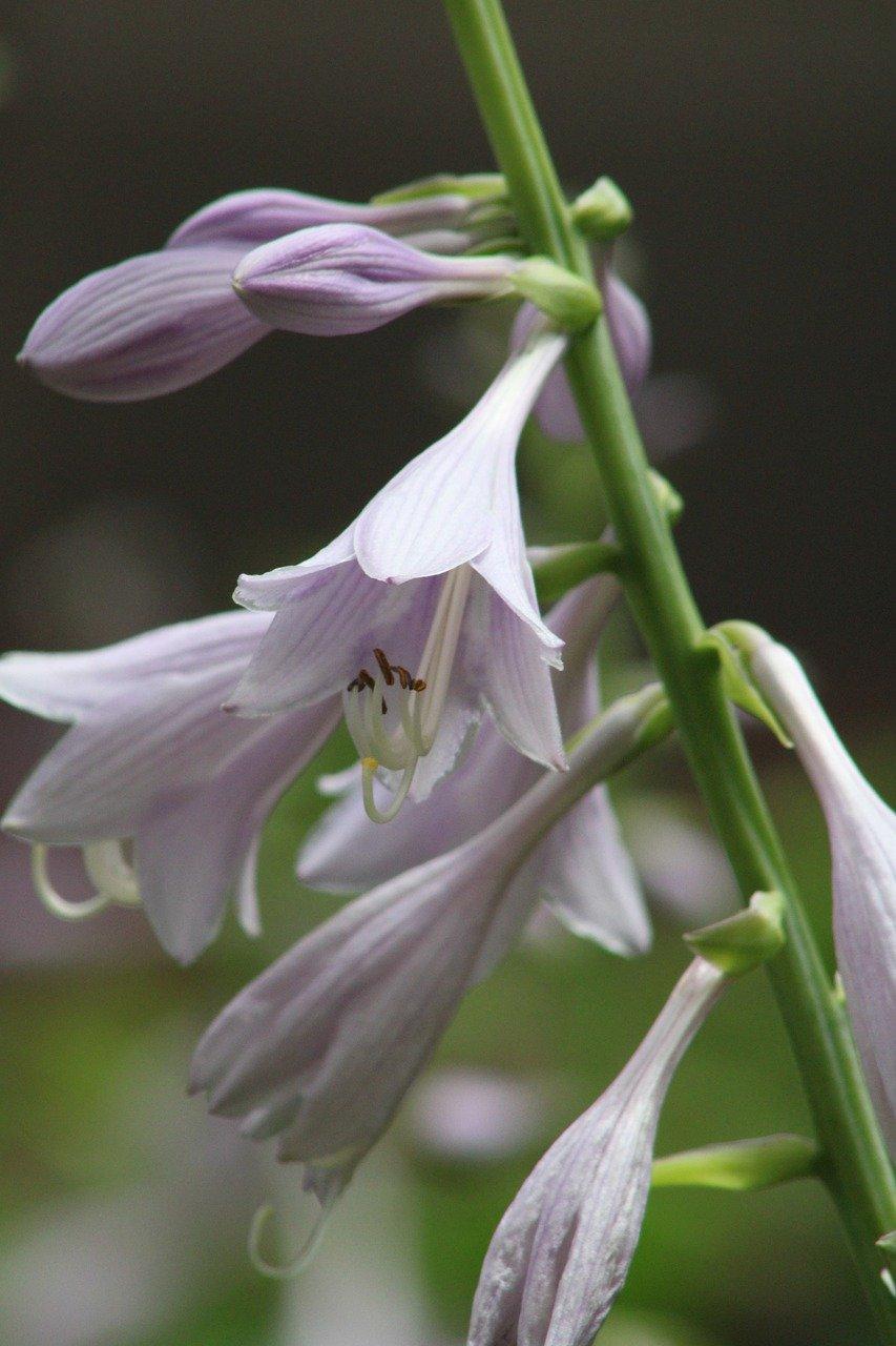 3. 户型设计精巧