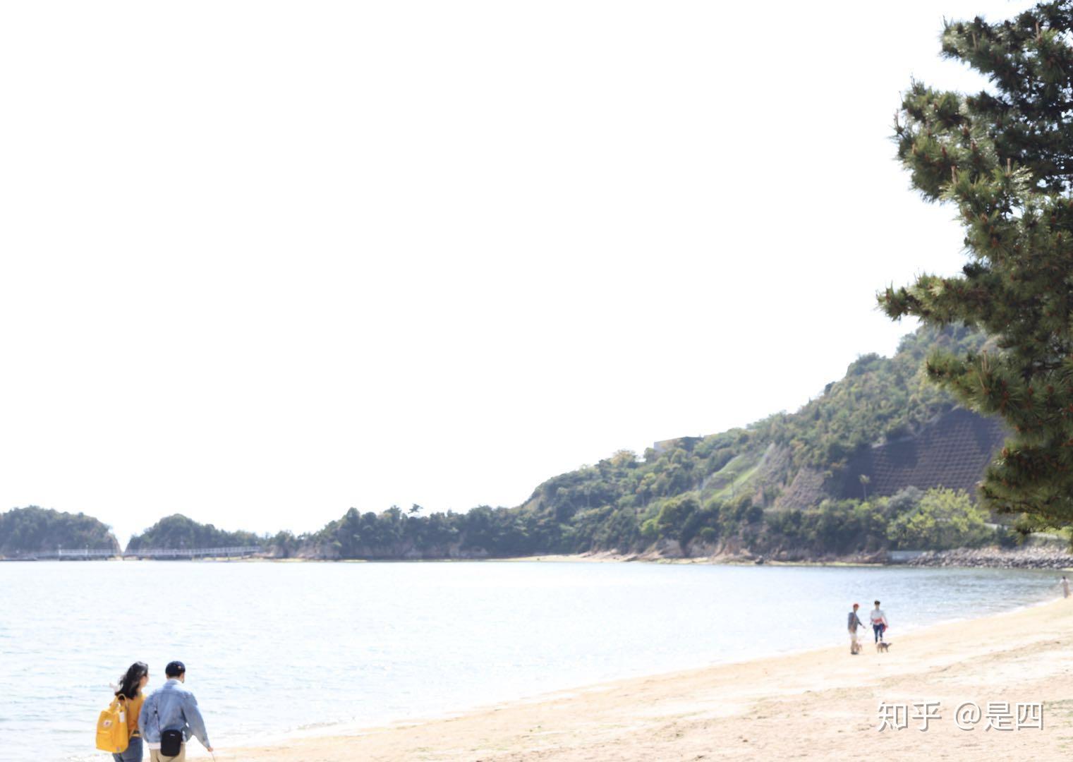 啥是内海啥是外海 v2-d6a0e0adb446c65613ad35d2c37fca48_r.jpg