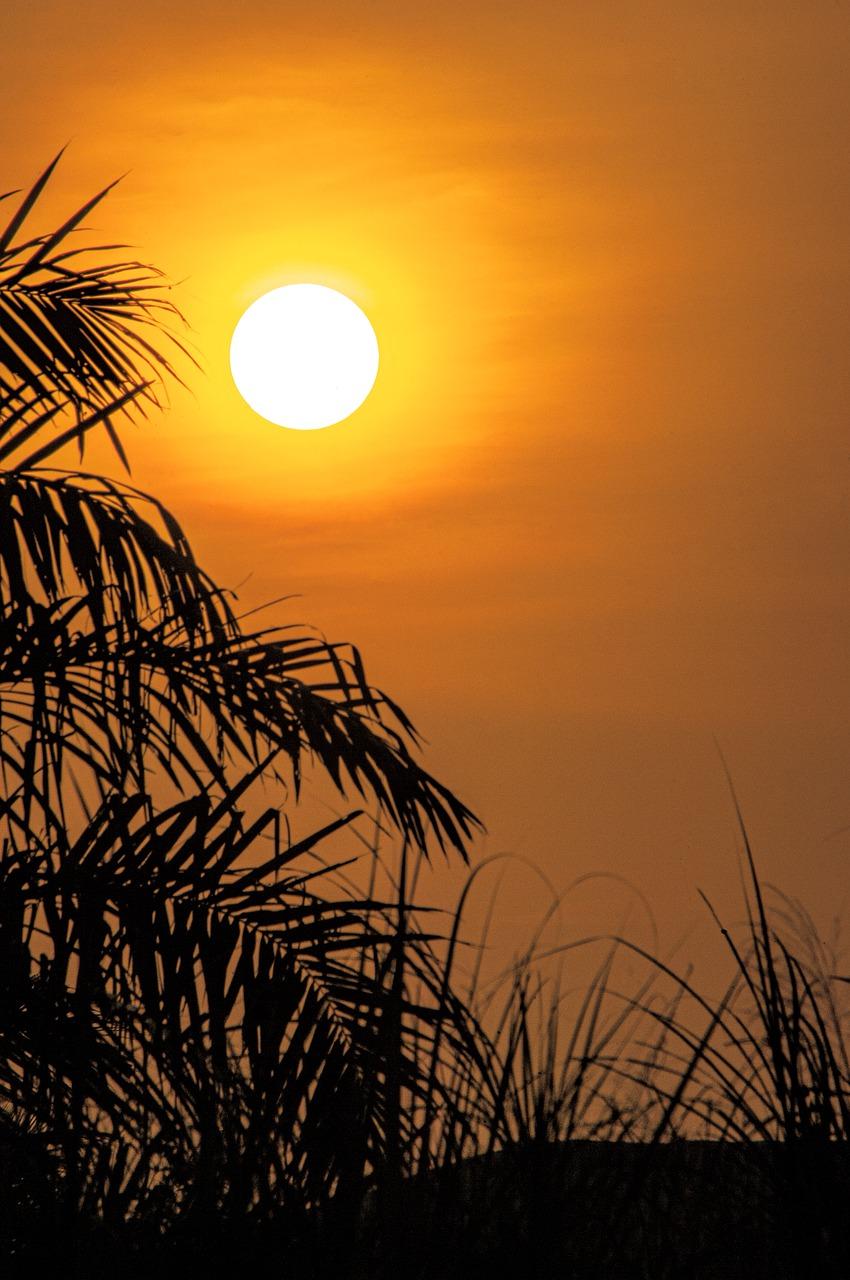 落叶纷飞诗意浓