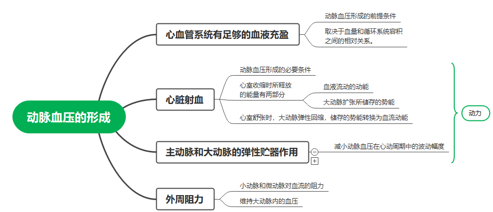 血压调节图解图片