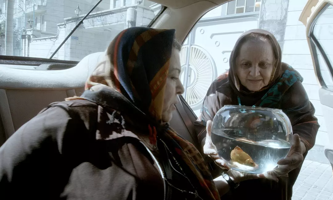 《出租车》看伊朗导演如何带着镣铐跳舞