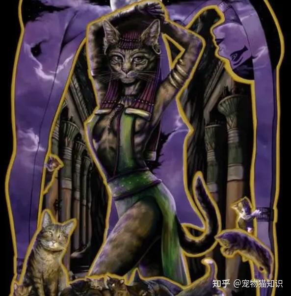猫咪的地位是非常高的,就连女神巴斯特的形象都是黑色猫头,可见当时的