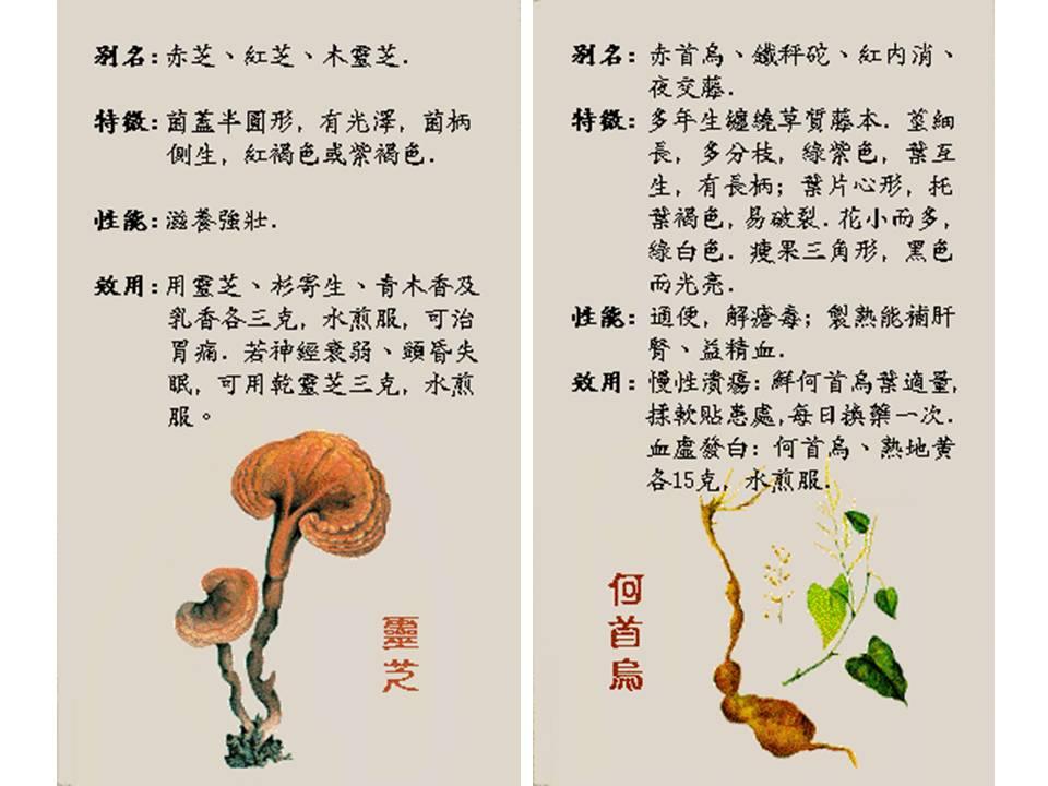 名贵药材排名图片