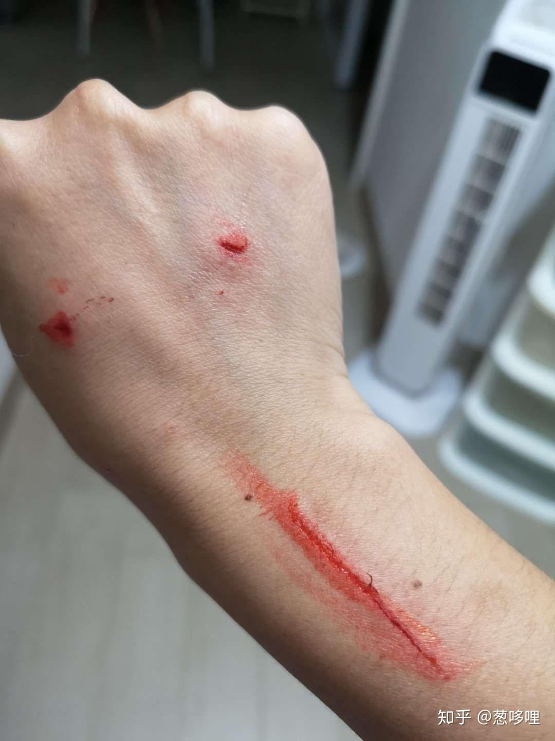 猫为什么会无缘故突然伤人