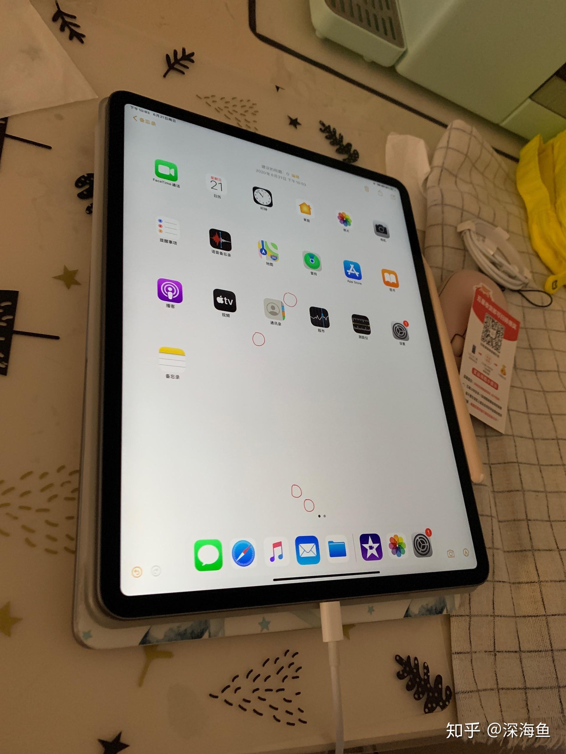 2020ipadpro129翻车记录屏幕黑点