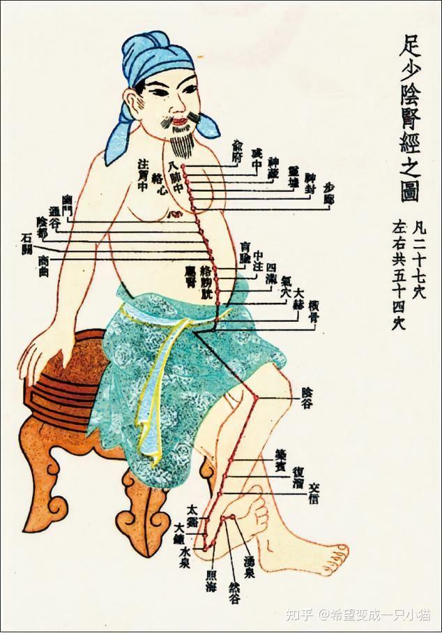 内经图 - 知乎