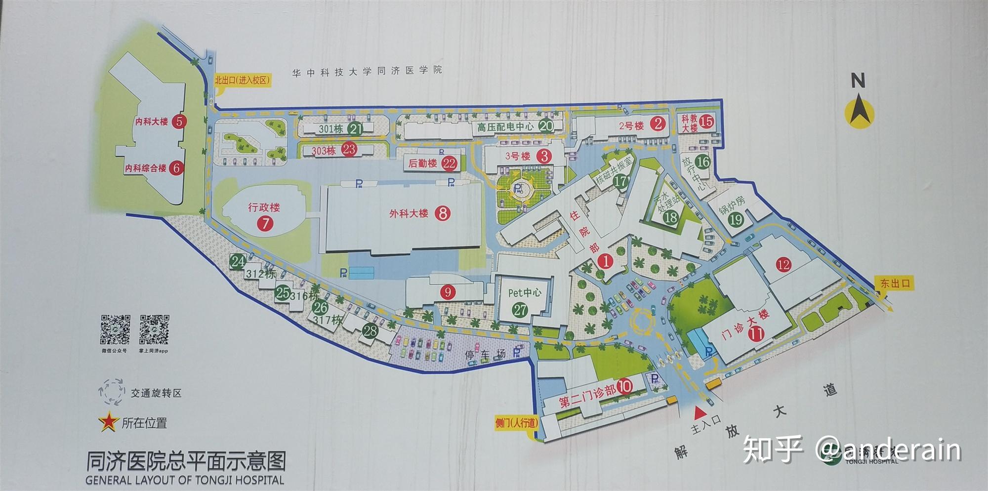 武汉同济医院布局图图片