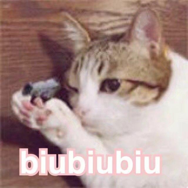 适合睡觉前听的歌有那些推荐?