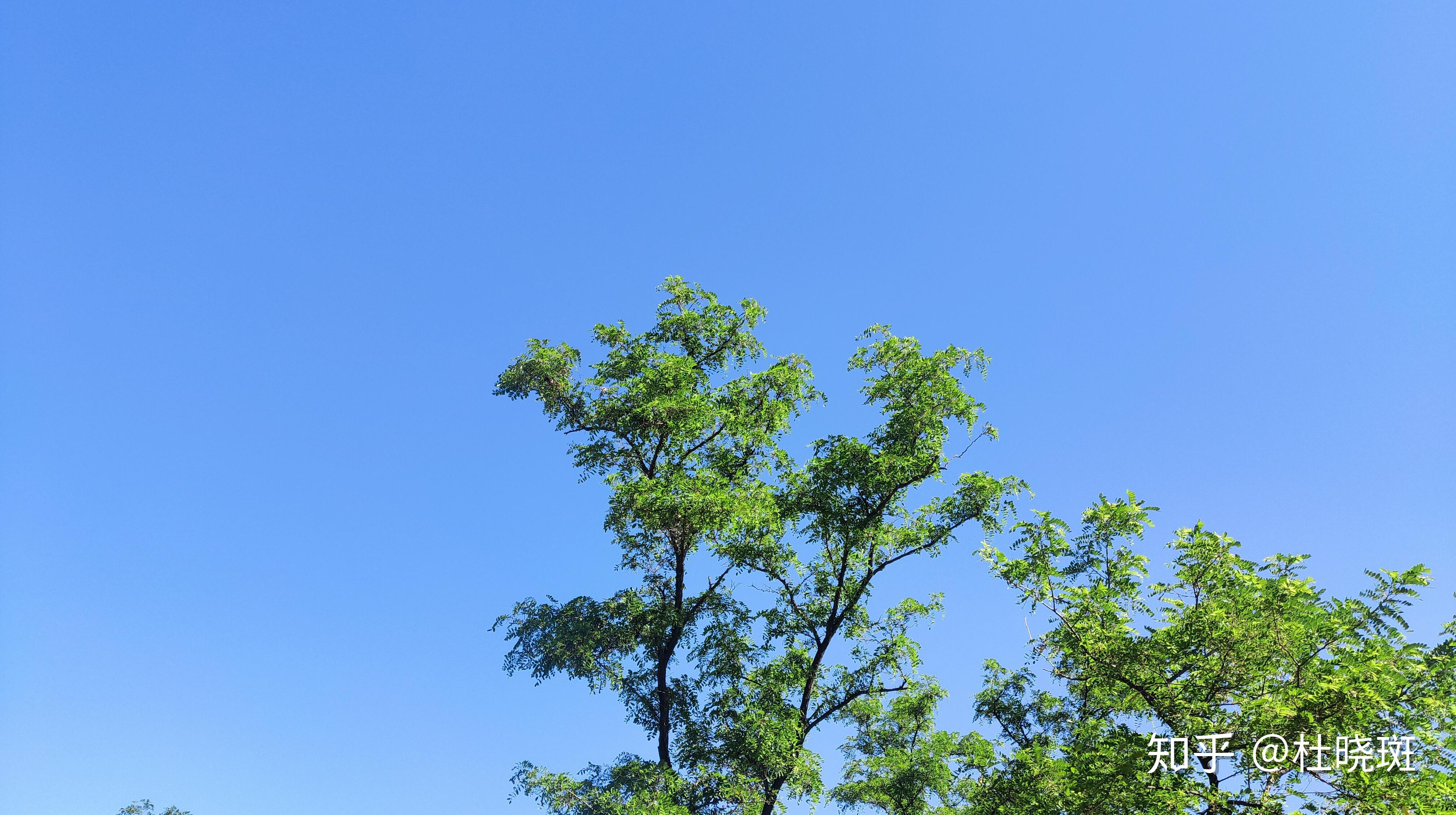 能发一张你拍过最好看的天空的照片吗?(白天黑夜都可以)?