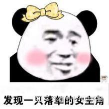 舔狗的自我修养书图片 v2-d6d68fdde867427de86c9cbf44b97420_b.jpg