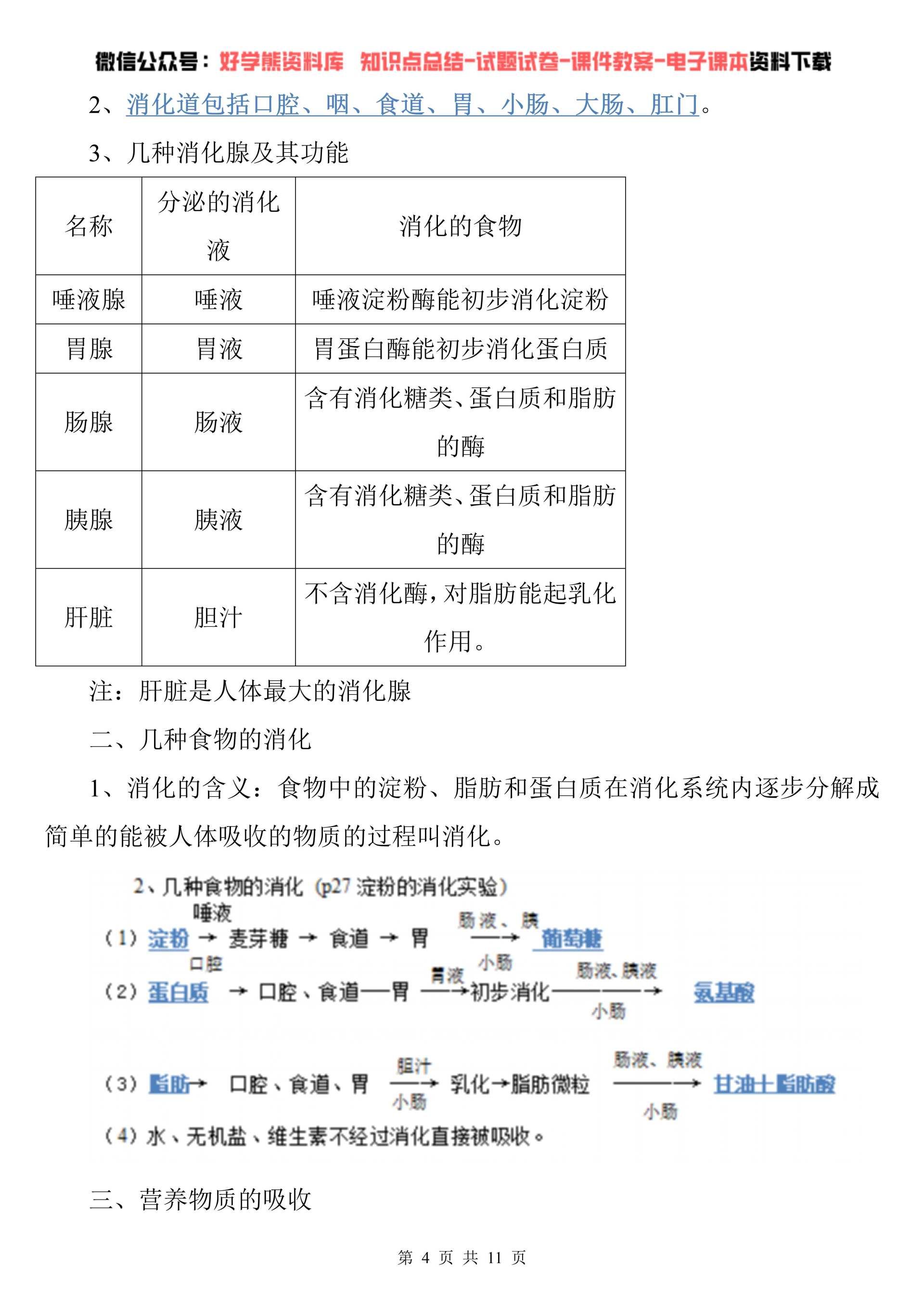 期中考試人教版初一七年級下冊生物期中複習知識點總結