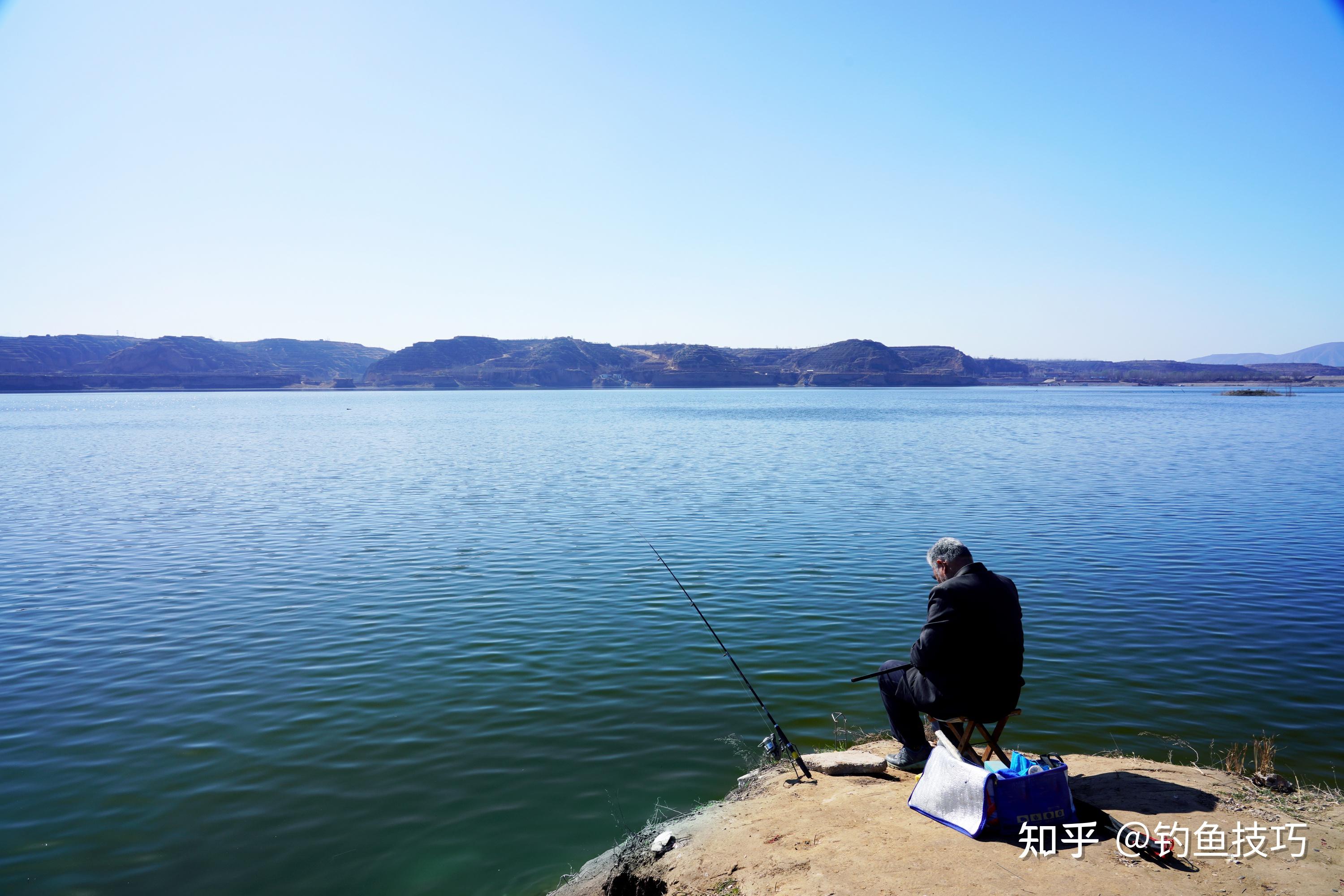 鱼喜欢吃盐吗钓鱼可以用哪种盐多巴盐对于淡水鱼的促开口作用
