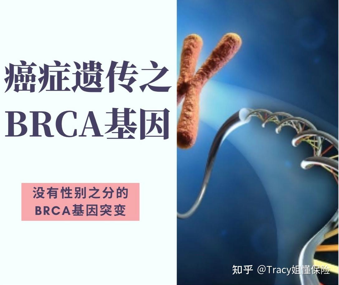 癌症遗传-没有性别之分的brca基因突变
