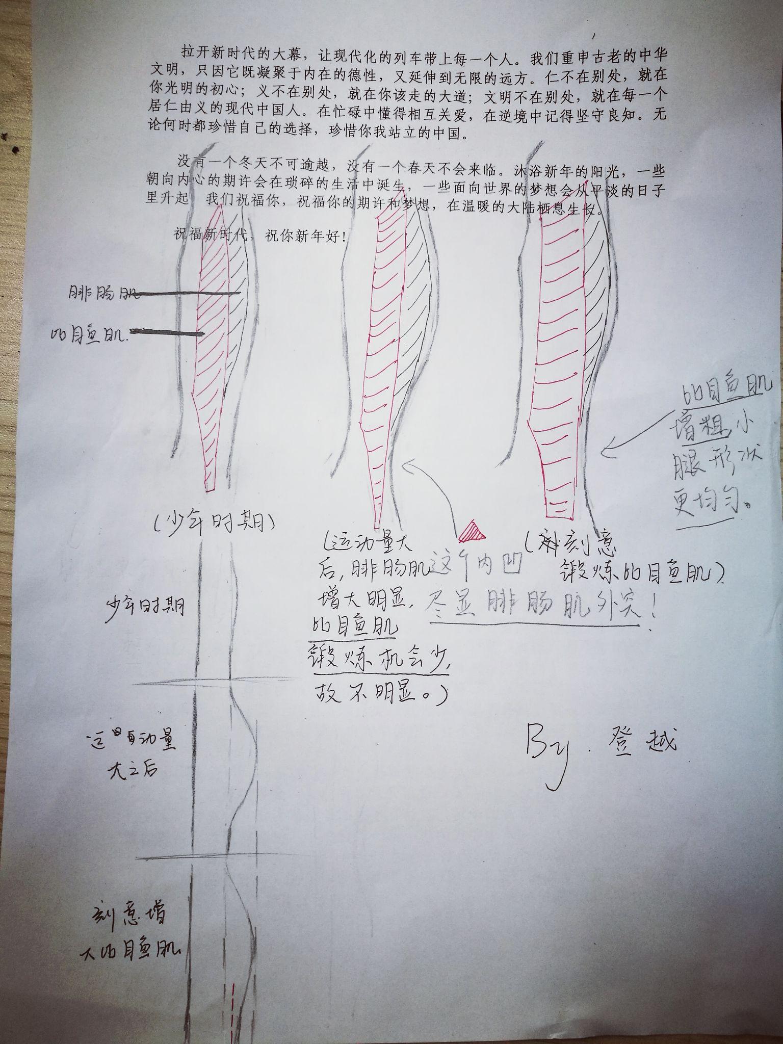 v2-d6ef88b31883cef49fa1fb608df2f23c_r.jpg