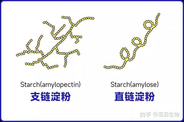 生化检测--淀粉类检测 - 知乎