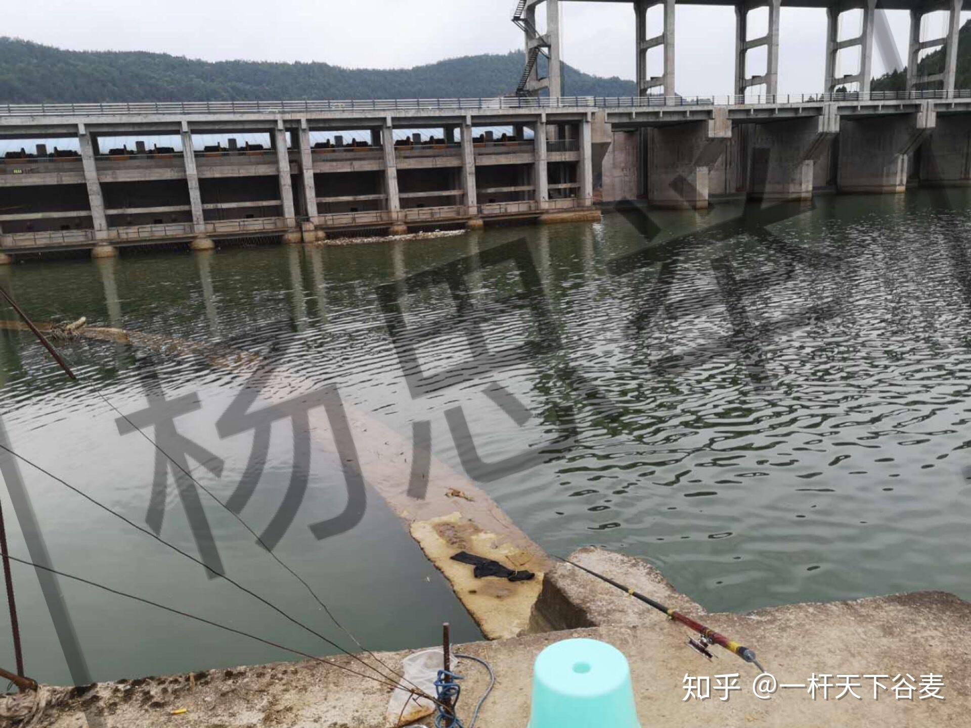 五一苍溪之行 - 知乎