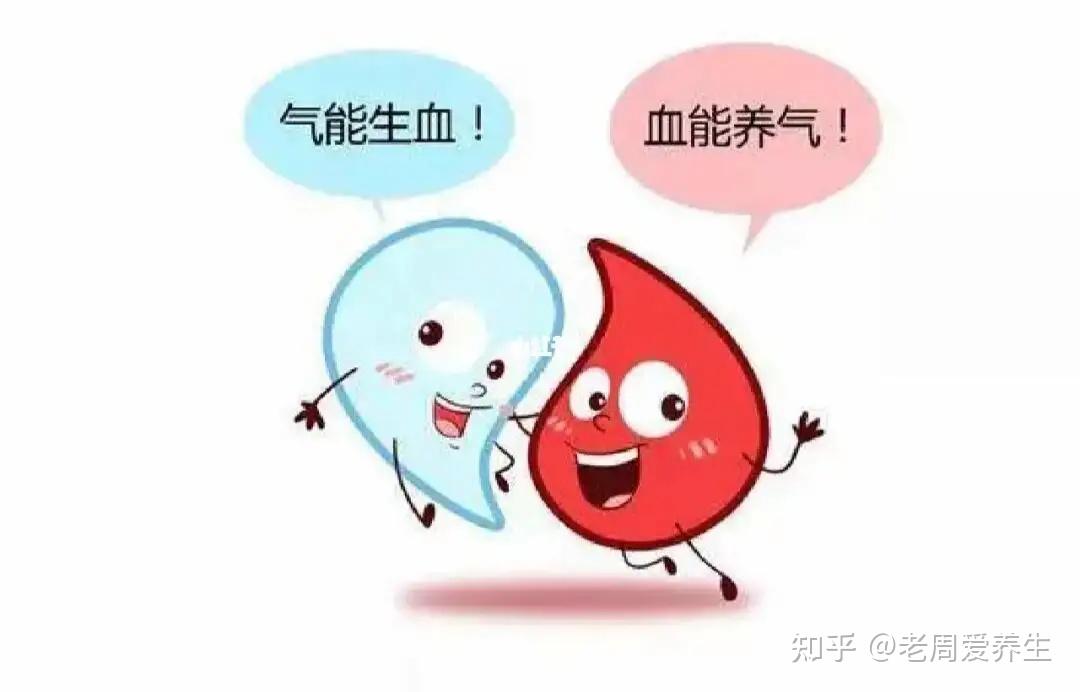 中医知识:精、气、血、津液的相互关系 - 知乎