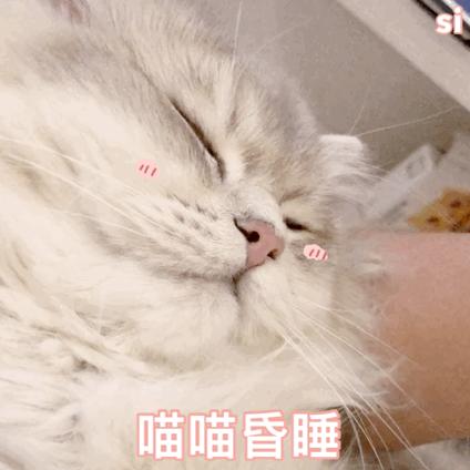 (二十一)缘分一道桥