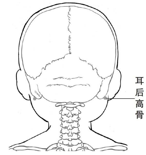 倪海厦 | 聪不聪明看智慧骨 - 知乎