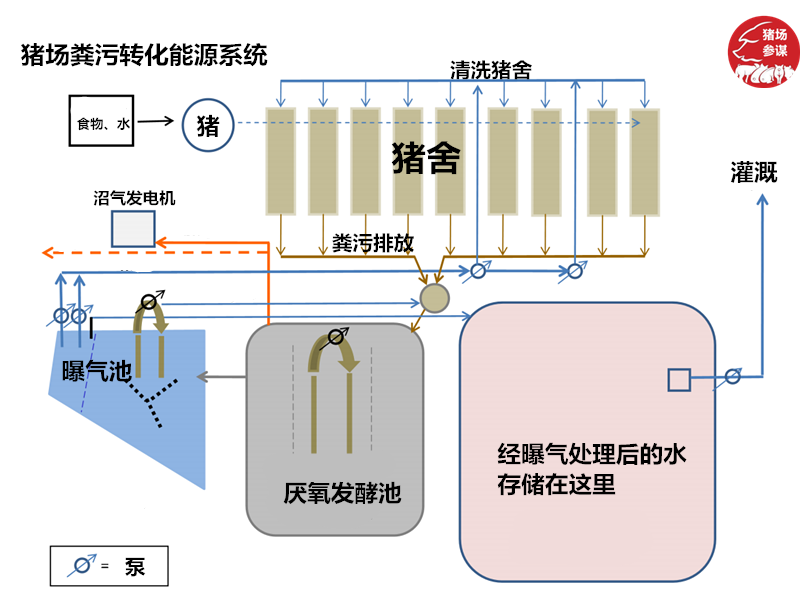 母猪产床排粪沟设计图图片