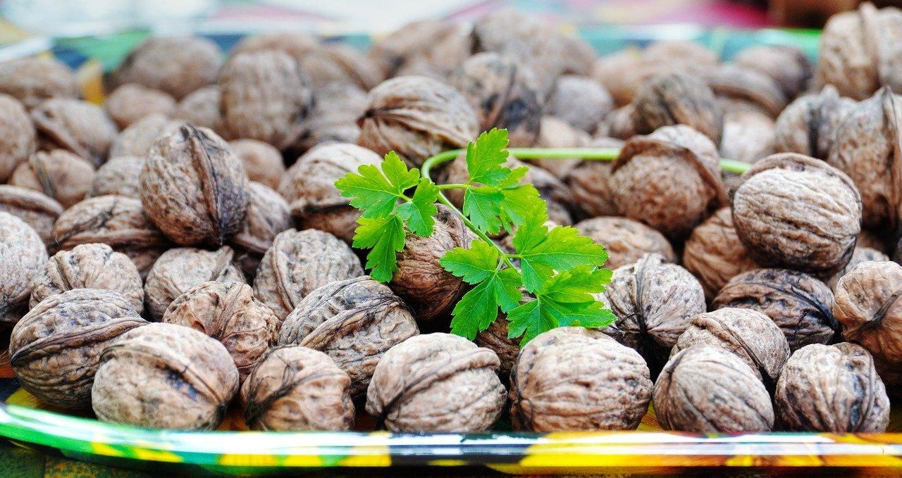 什么品种核桃个大