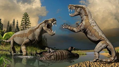 恐头兽亚目(tapinocephalia)的祖先是外形类似巴莫鳄的中小型肉身