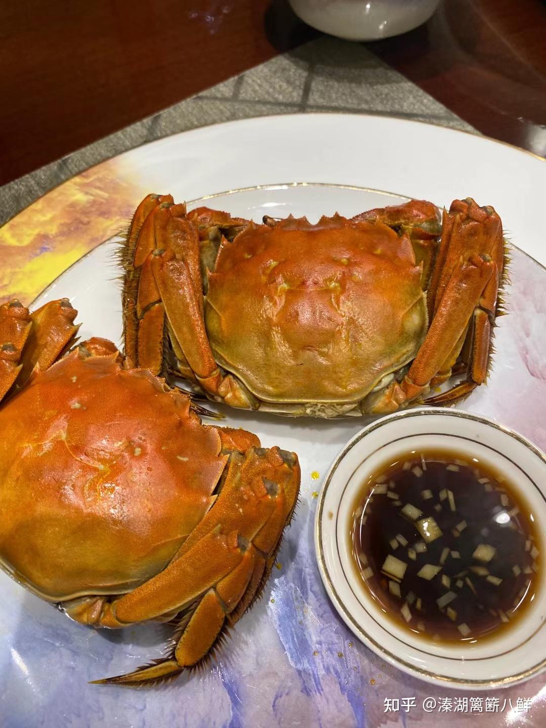 2019年高淳固城湖螃蟹节将于9月21日在固城湖水慢城开幕 - 蟹如虎固城湖大闸蟹