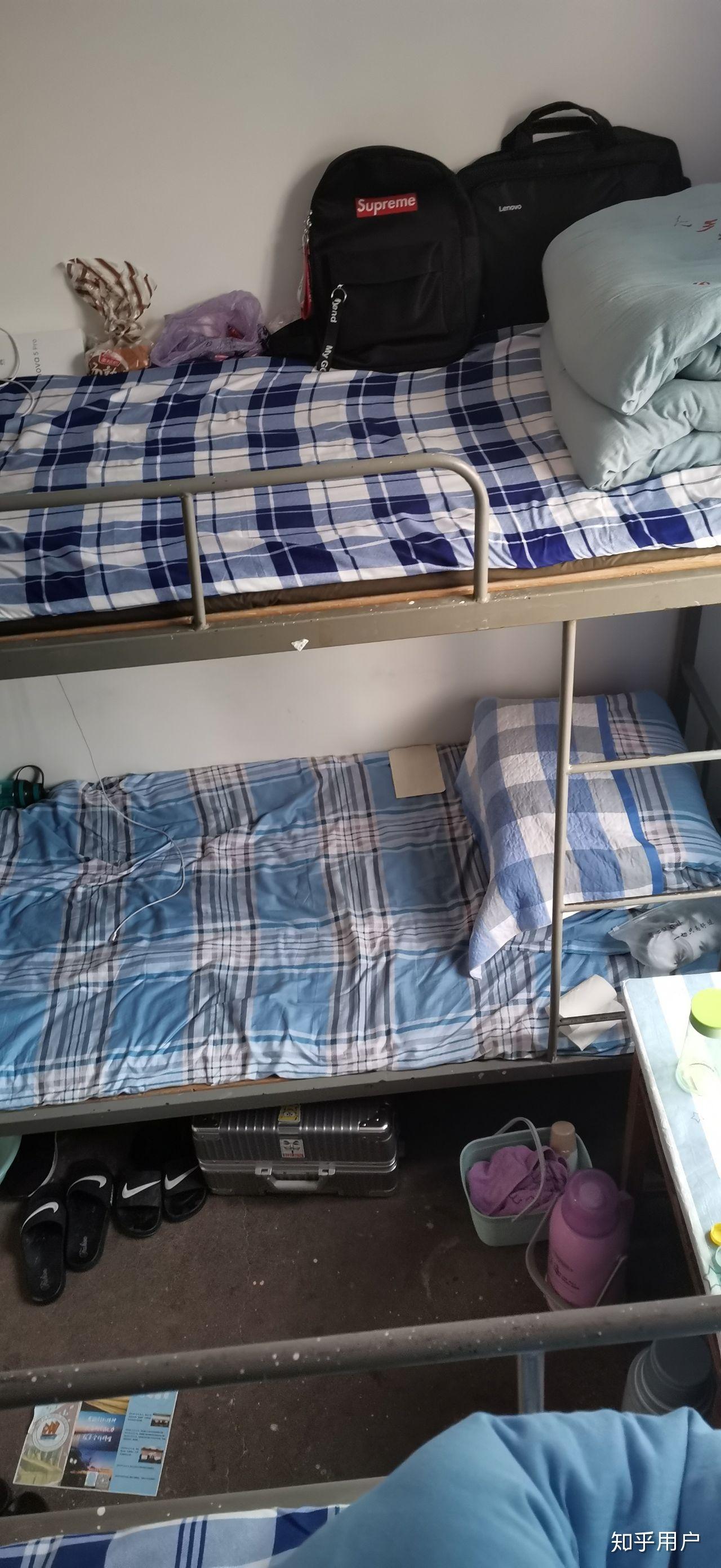 在河北农业大学秦皇岛校区读书是怎样的一种体验?
