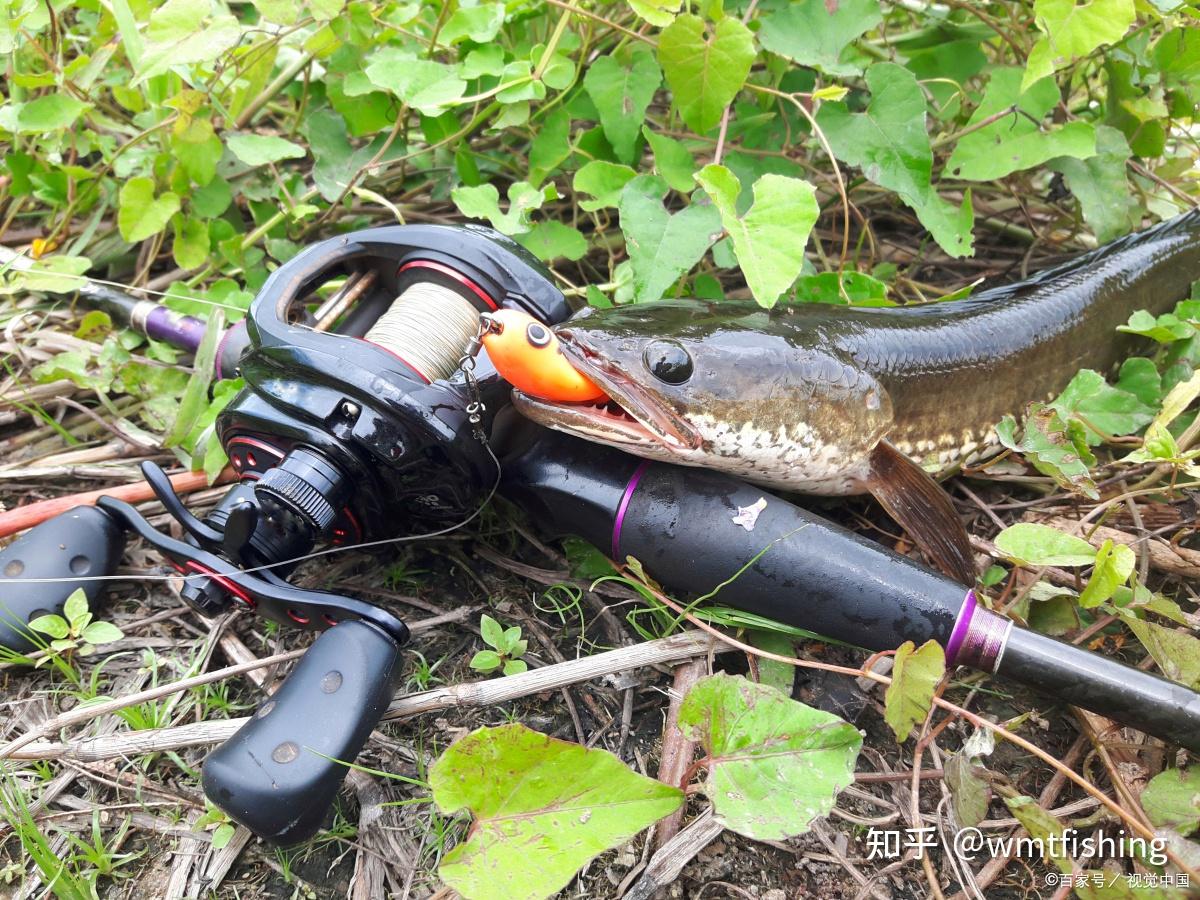 普通的路亚竿也可以用毛钩来钓鱼,一起来看看几种路亚毛钩钓的钓组及