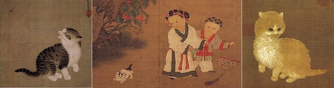 猫的花名 知乎 猫的花名 知乎