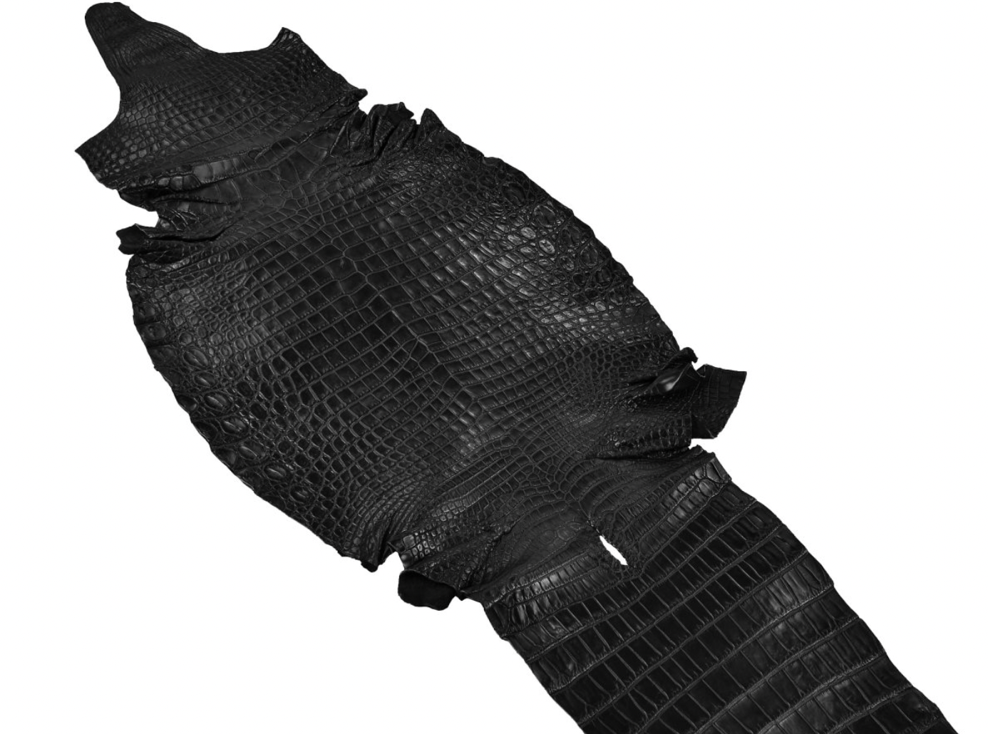 就算同一品种的鳄鱼皮,通常也有分等级.