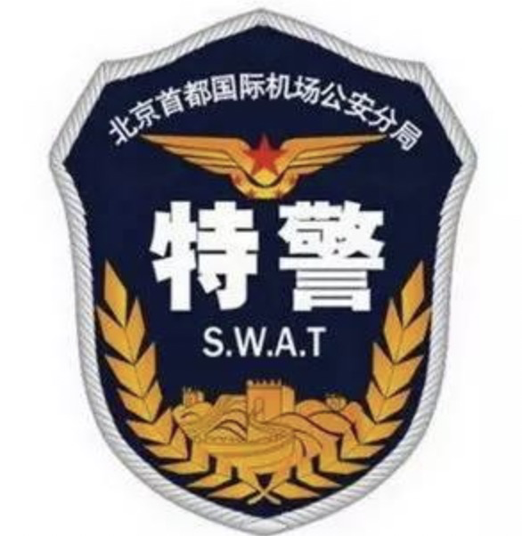 局特警总队北京市"99"式特警战训服圆胸标整理了一份《全国特警臂章