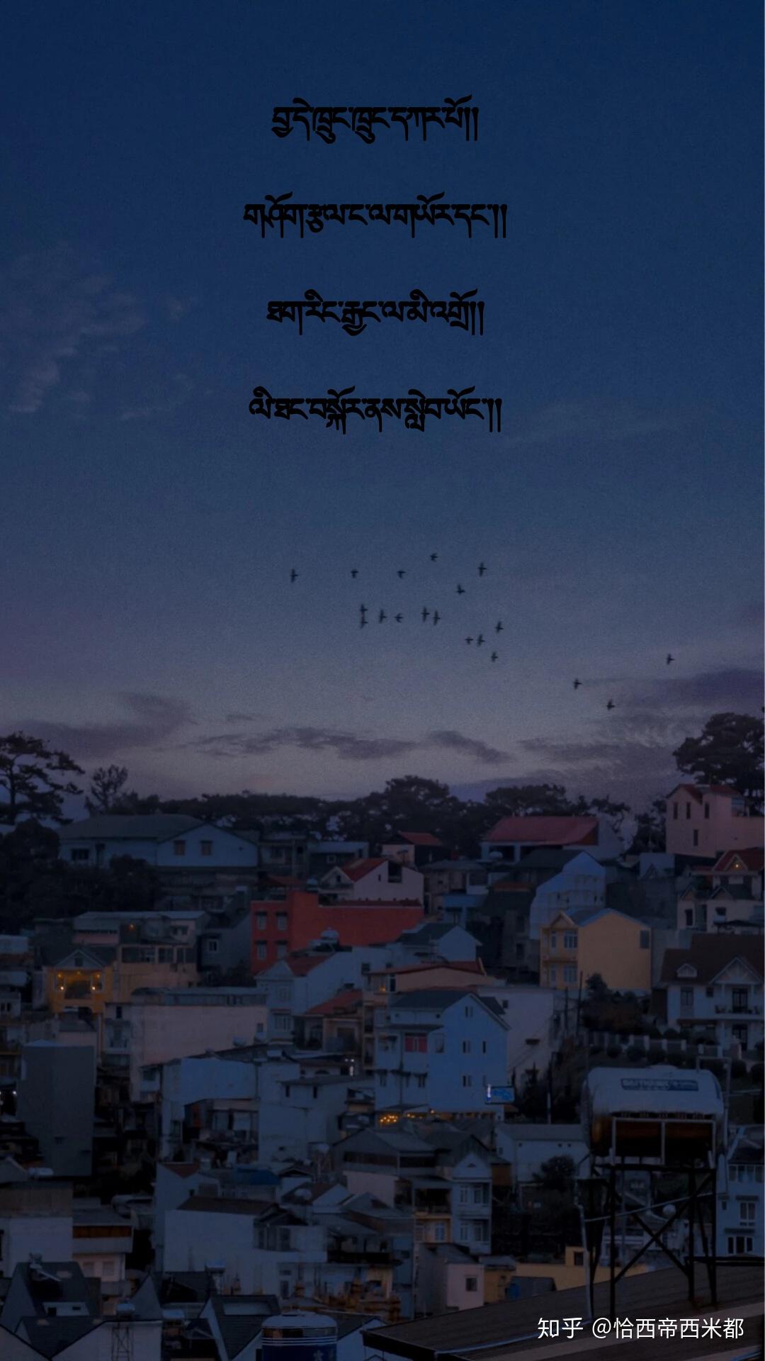 北漂的藏獒藏式壁纸