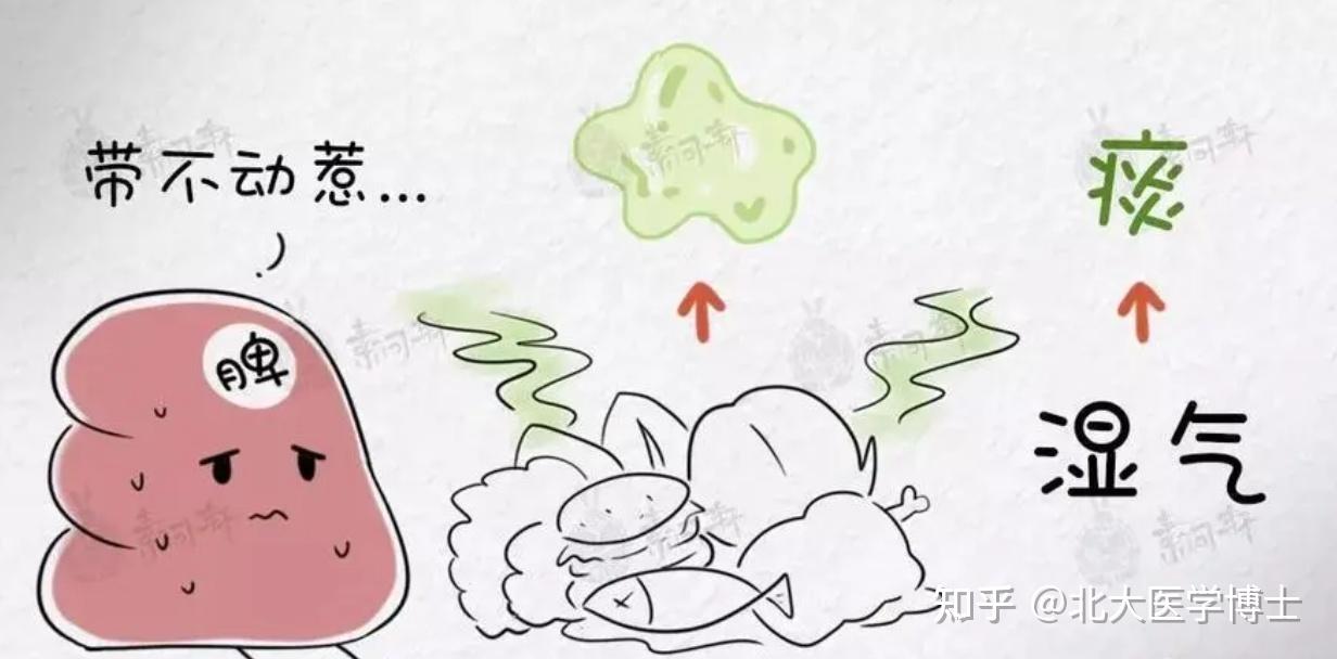 痰在哪，病在哪！中药煮一碗，痛风从痰湿论治，化全身筋骨之痰， - 知乎