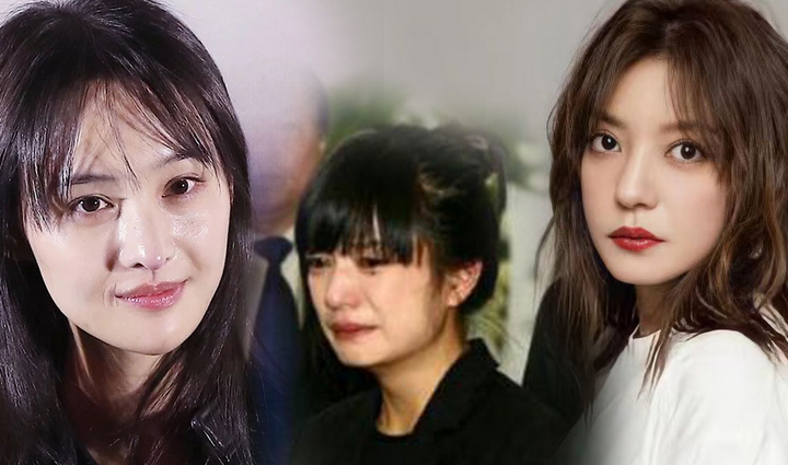 老燕子帮郑爽复出