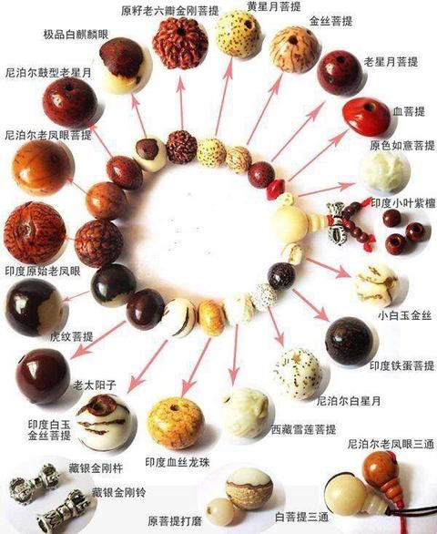 不是菩提子,是绿松石,银色的那个,是藏银三通佛头,其余的菩提子名字