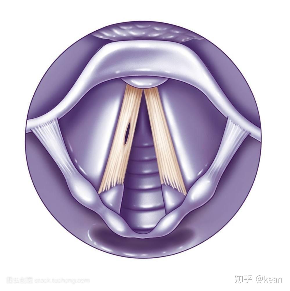 为什么有人觉得郑淳元theone唱功很好有人觉得他唱歌伤