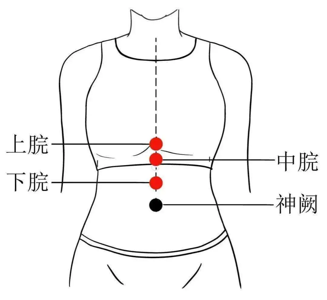 胃脘部在人体位置图图片